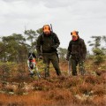 Kurtka Pinewood Retriever Active 5770 Zieleń mchu