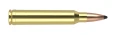 Amunicja kulowa Nosler Partition Trophy Grade .300 Win. Mag. 180gr