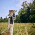 Fotopułapka ZEISS Secacam 1