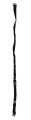 WBPTEX003QD-Black-Gamma-QD11.jpg