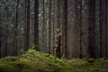 Kamizelka myśliwska Harkila Deer Starlker Willow Green/AXIS MSP®Forest