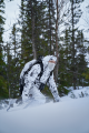 Kurtka myśliwska Harkila Winter Active WSP