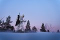 Kurtka myśliwska Harkila Winter Active WSP