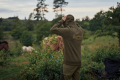 Bluza Seeland Kelvin Grizzly brown