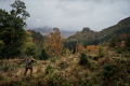 Kurtka myśliwska Harkila Forest Hunter GTX Hunting GreenShadow Brown (11).png